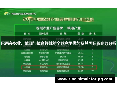 巴西在农业、能源与体育领域的全球竞争优势及其国际影响力分析