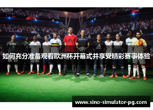 如何充分准备观看欧洲杯开幕式并享受精彩赛事体验