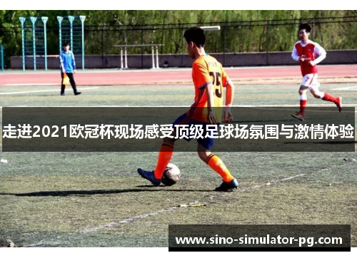 走进2021欧冠杯现场感受顶级足球场氛围与激情体验