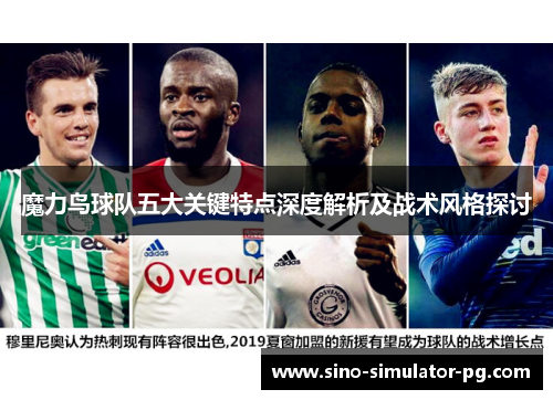 魔力鸟球队五大关键特点深度解析及战术风格探讨