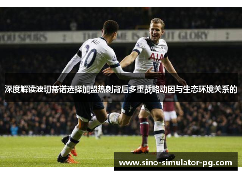 深度解读波切蒂诺选择加盟热刺背后多重战略动因与生态环境关系的