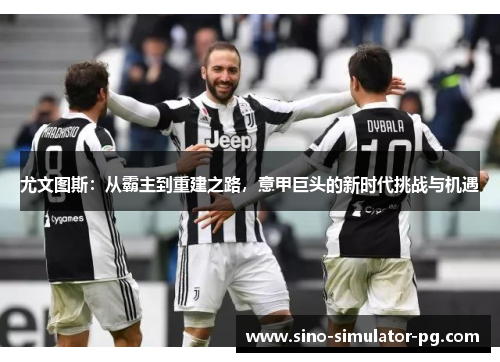 尤文图斯：从霸主到重建之路，意甲巨头的新时代挑战与机遇