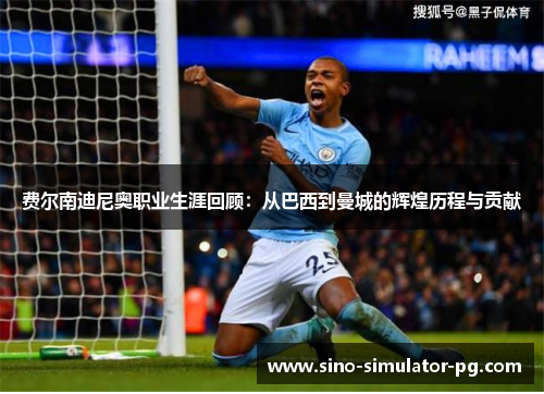 费尔南迪尼奥职业生涯回顾：从巴西到曼城的辉煌历程与贡献