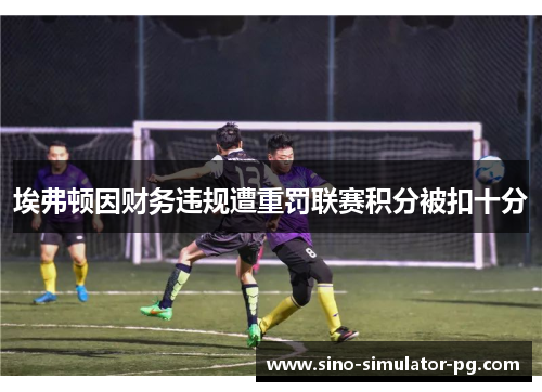 埃弗顿因财务违规遭重罚联赛积分被扣十分