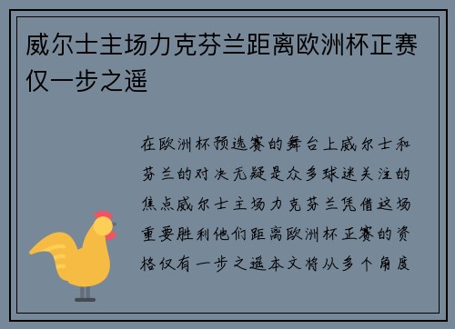 威尔士主场力克芬兰距离欧洲杯正赛仅一步之遥