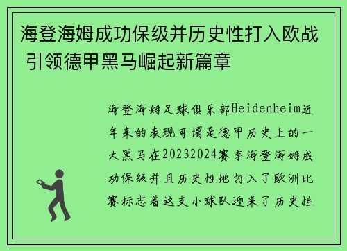 海登海姆成功保级并历史性打入欧战 引领德甲黑马崛起新篇章